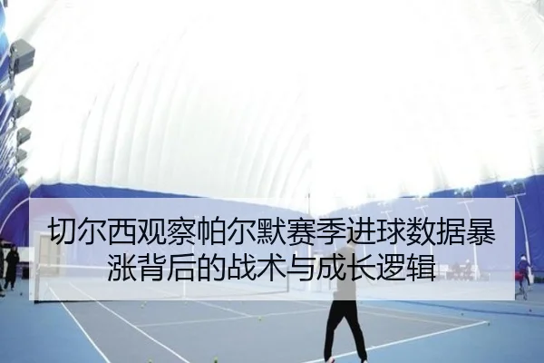 切尔西观察帕尔默赛季进球数据暴涨背后的战术与成长逻辑