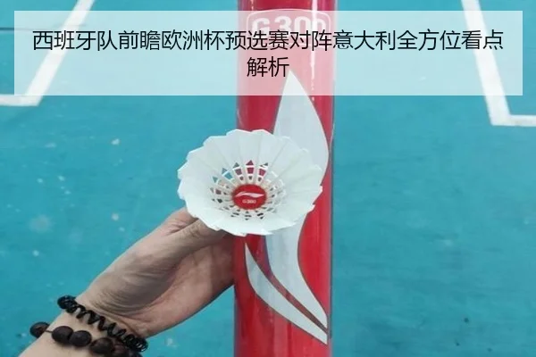 西班牙队前瞻欧洲杯预选赛对阵意大利全方位看点解析