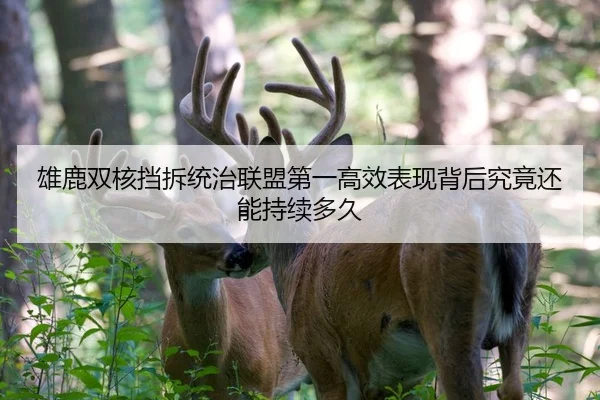 雄鹿双核挡拆统治联盟第一高效表现背后究竟还能持续多久